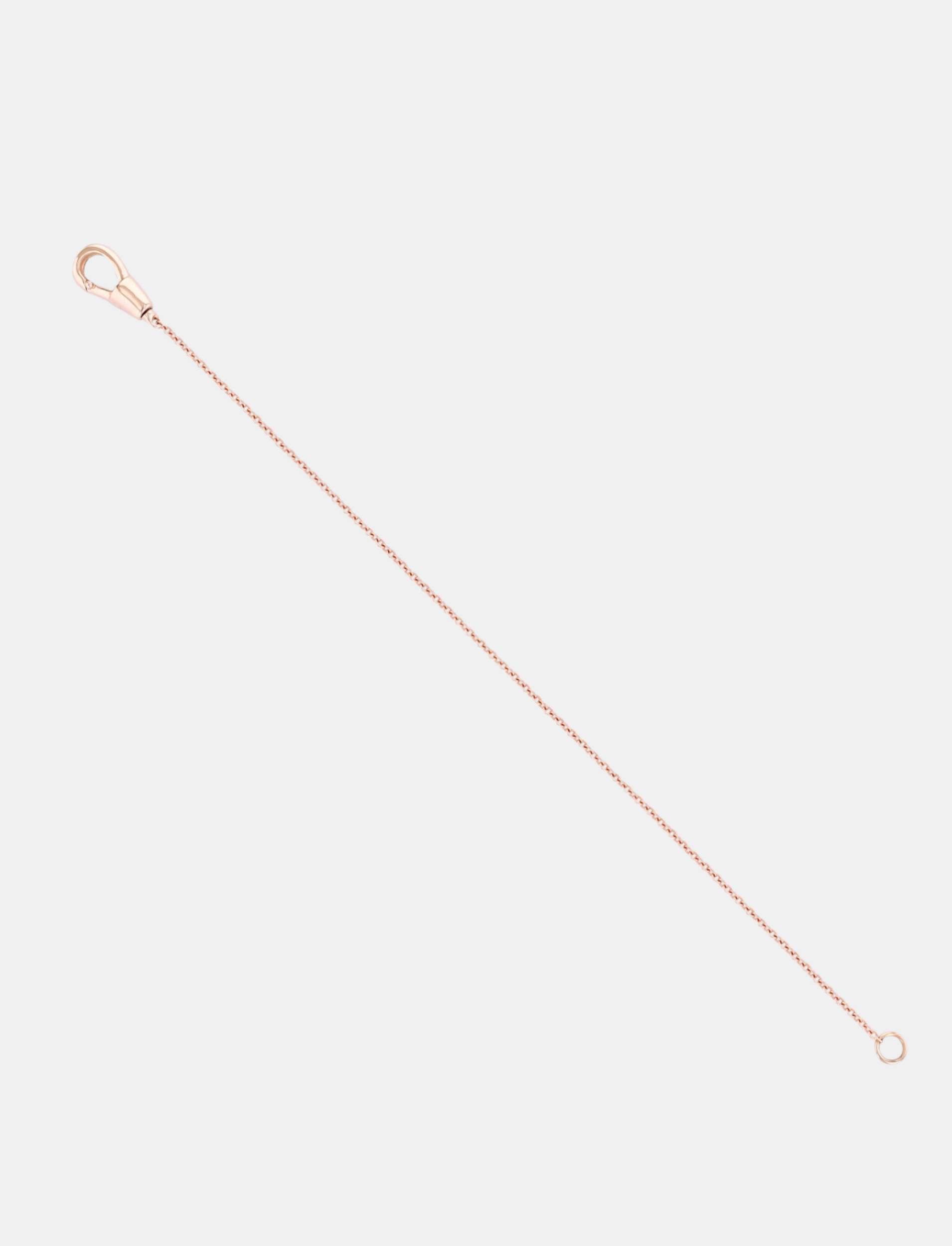 Small Gold Hook on Simple Chain