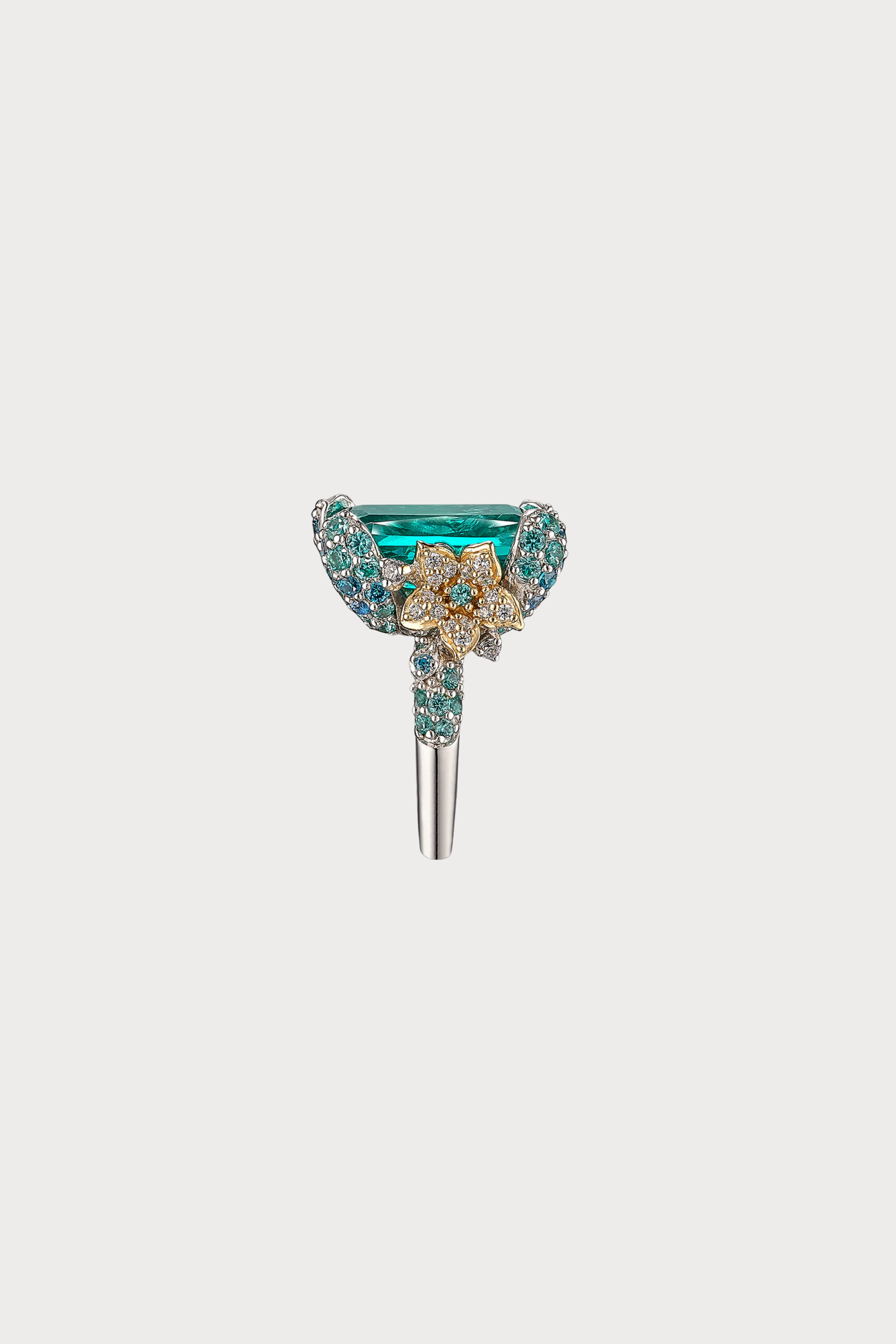 Paraiba Ocean Ring