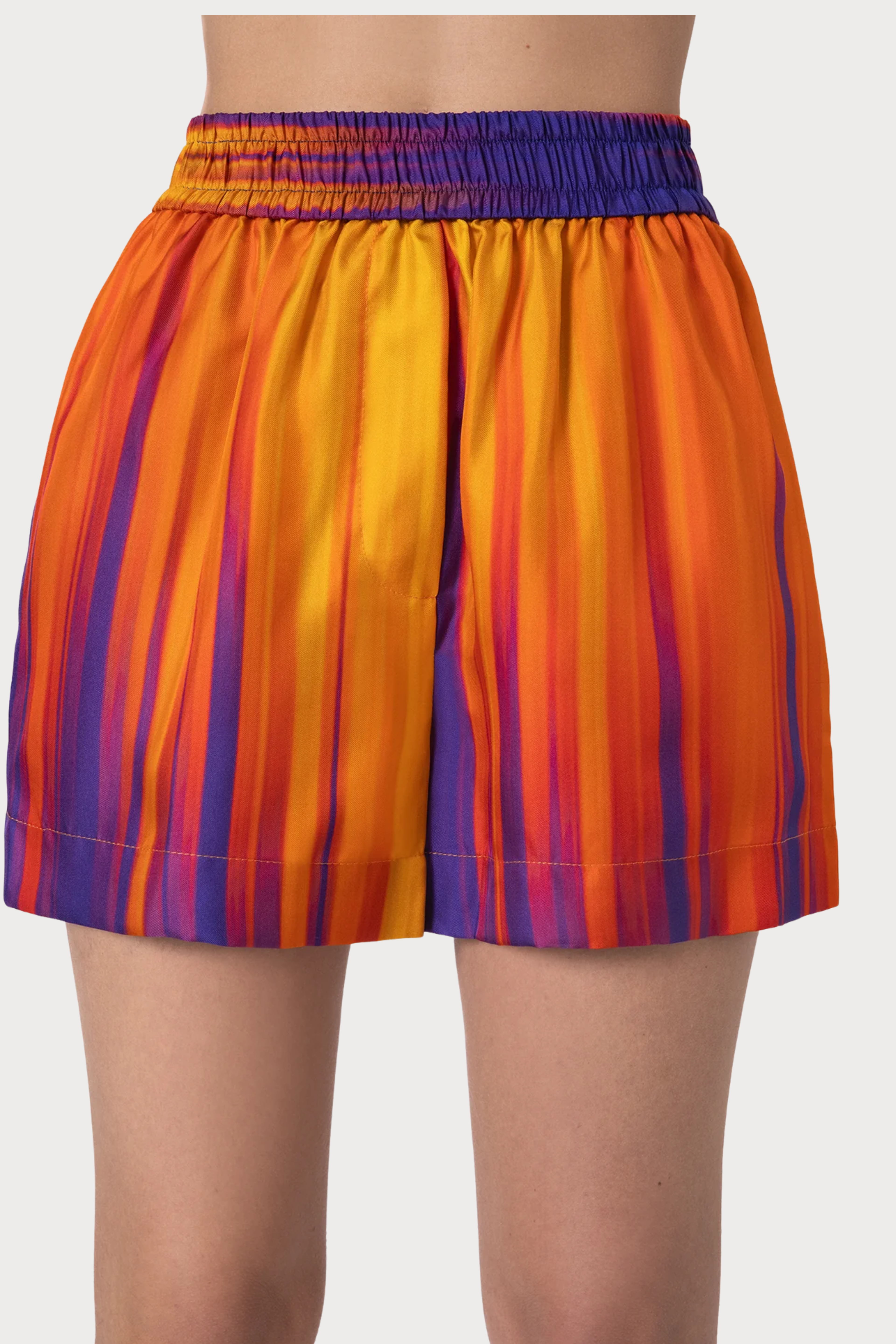Rio Carnival Women’s Shorts