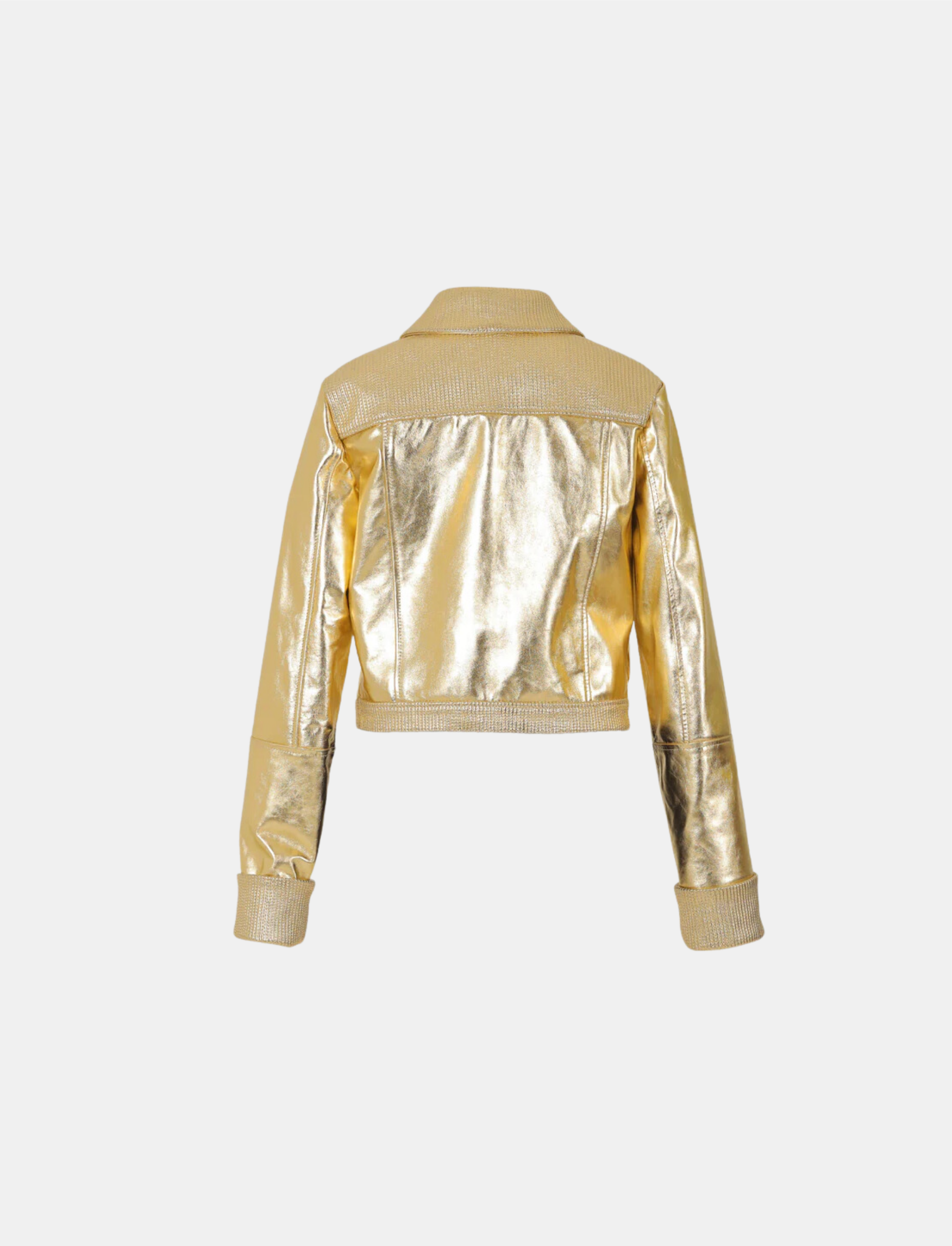 Auzinnia Leather Jacket Gold